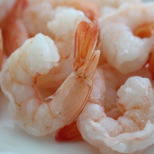 큰새우 4마리 추가